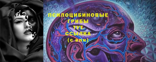 прущая мука Алзамай