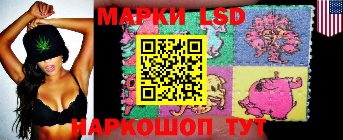Марки 25I-NBOMe 1,5мг  Вход с VPN  Марки NBOMe  Лесной 
