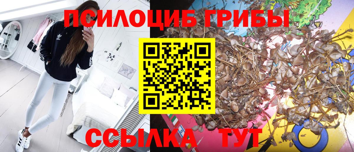 где купить наркоту  Галлюциногенные грибы мицелий  Вход с VPN  Лесной  Галлюциногенные грибы MAGIC MUSHROOMS 
