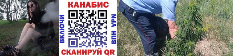 где продают   Лесной  Бошки марихуана ГИДРОПОН 